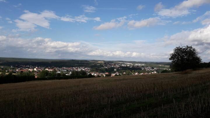Goldsteig-Einzelzimmer Windischeschenbach Exterior foto